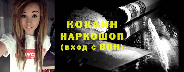 СК Алексин