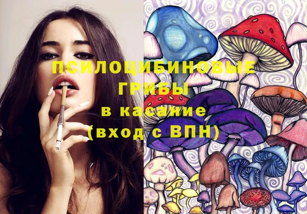 СК Алексин