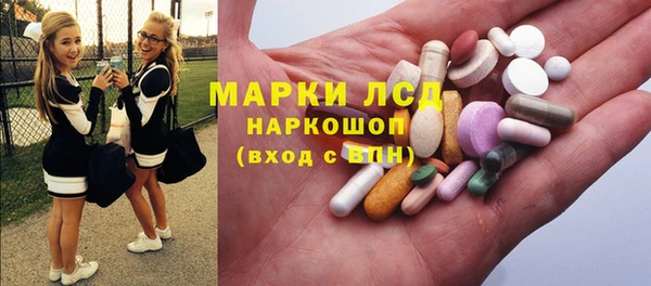 СК Алексин