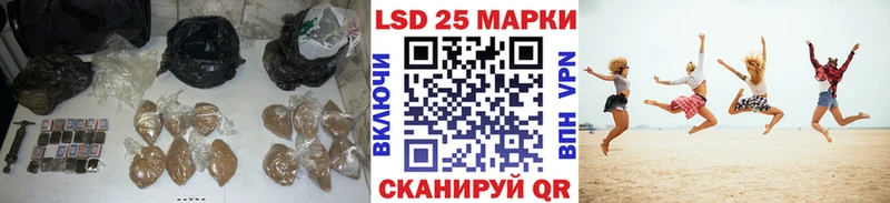 Купить где  Новомичуринск  LSD-25 экстази ecstasy 