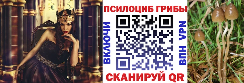 Купить где  Новомичуринск  Галлюциногенные грибы MAGIC MUSHROOMS 